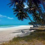 Recife: Tour to Carneiros with Catamaran Ride - A Deep Dive Into the Experience