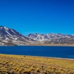 Red Stones, Altiplanic Lagoons and the Atacama Salt Flat - Why This Tour Offers Good Value