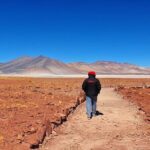 Red Stones and Altiplanic Lagoons - What Travelers Say
