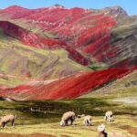 Red Valley Cusco - Full Day Tour - Frequently Asked Questions