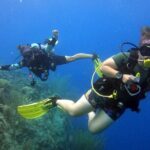 Refresher Dive - In-Depth Review of the Refresher Dive Tour in Curacao