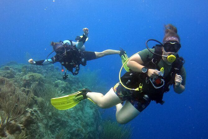 Refresher Dive - In-Depth Review of the Refresher Dive Tour in Curacao