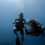 Refresher Scuba Diving Course Costa Rica - Who Should Consider This Tour?