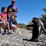 Regular Shore Excursion for Punta Tombo Cruises - Final Words