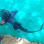 Regular Tour to Forte Beach - Leaving Salvador by Bahia Top Turismo - Practical Tips for Making the Most of the Tour