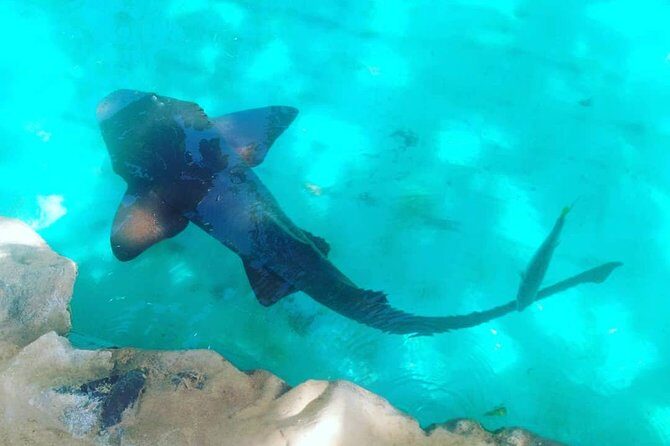 Regular Tour to Forte Beach - Leaving Salvador by Bahia Top Turismo - Practical Tips for Making the Most of the Tour