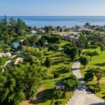 Relax in Hot Springs and swim in Titou Gorge and Trafalgar Falls - What We Love about This Tour