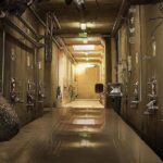 Renacer Winery Experience - The Sum Up: Why You Should Consider This Tour