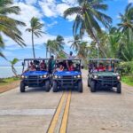 Rent The New 2025 Kawasaki Mule Pro in San Andrés - Practical Tips for Your Rental