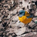 Reservoir plaster + roast in the mountains - Why This Tour Can Be a Great Choice