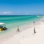 Ricks Cafe and Negril Seven Miles Beach Irie Tour - Authenticity and Value