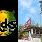 RICKS CAFE PARTY CRUISE RIU AQUARELLE with Open Bar & DJ - Final Thoughts: Who Will Love This Tour?