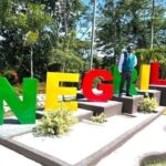 Rick's Cafe & Shopping in Negril - Who Should Consider This Tour?