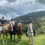 Ride in the Andes Mountains - Why This Tour Works Well for Travelers