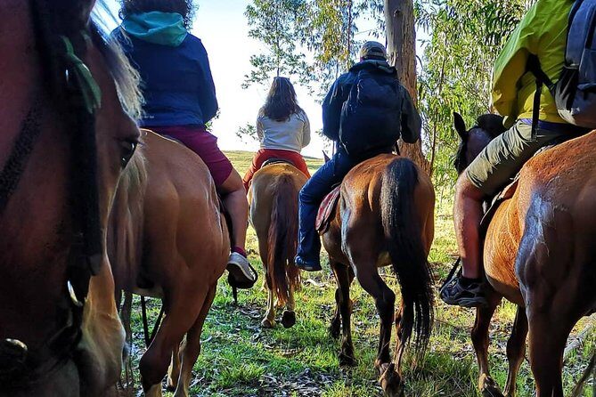 Ride to the highest point on the island for sunset - Final Thoughts
