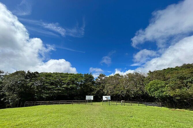 Rincon de la Vieja/Santa Maria Nature Hike & Hot Springs/Half day - An In-Depth Look at the Rincon de la Vieja/Santa Maria Tour