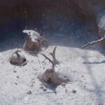 Rincón de la Vieja volcano hike & hot springs full day - What Makes This Tour Stand Out