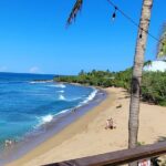 Rincon Tour Sunset & Nightlife Experience - Practical Details: What You Can Expect