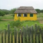 Rincon Visit with Local Guide - Final Thoughts