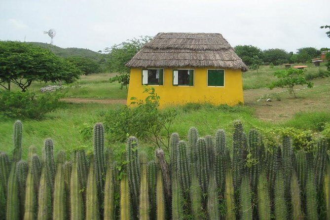 Rincon Visit with Local Guide - Final Thoughts