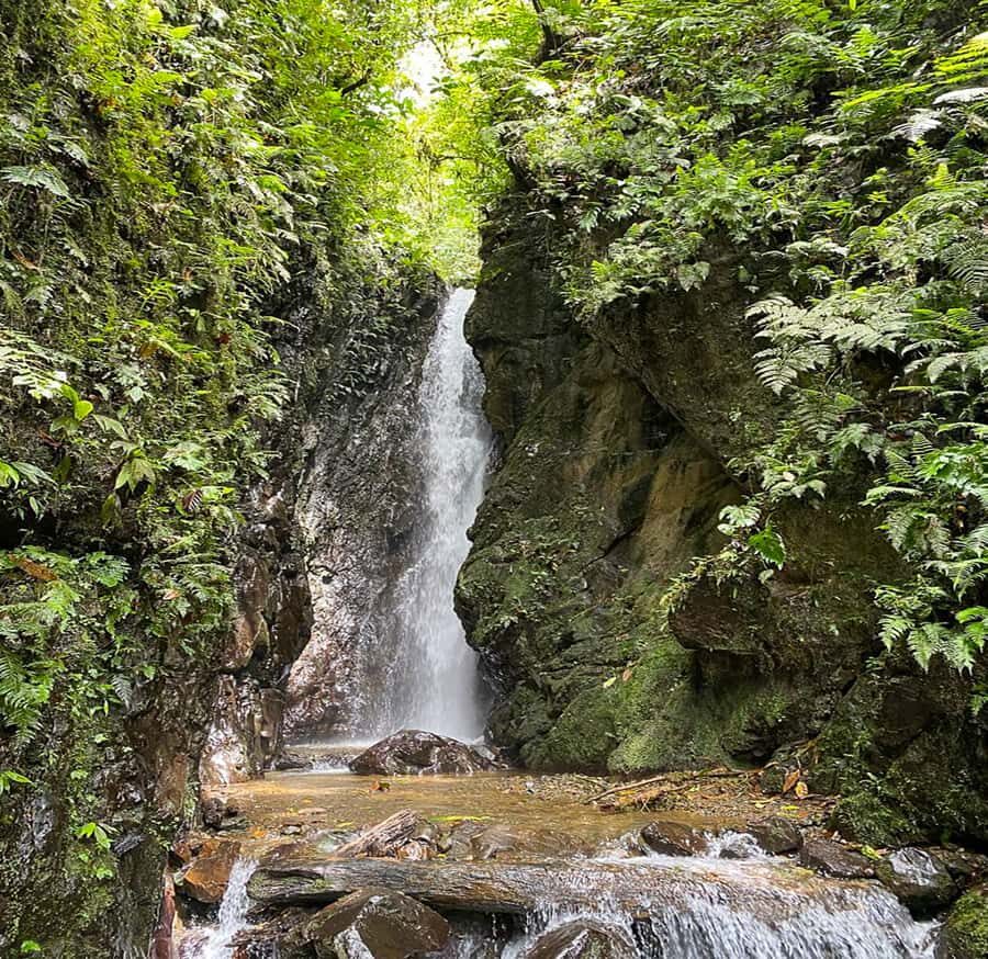 Rio Bravo Canyon: Hike & Waterfalls Adventure from Cali - Final Thoughts