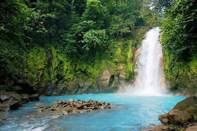 Rio Celeste and Tenorio National Park Hike + Lunch from La Fortuna - A Closer Look at the Tour Experience