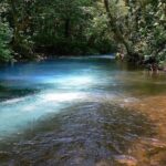 Rio Celeste Hike & Tenorio Volcano Hike - Authentic Experiences and Traveler Feedback