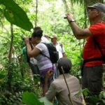 Rio Celeste Hiking from Arenal - National Park Guided Tour - Exploring the Tour Itinerary in Detail