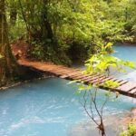 Rio Celeste Hiking, Sloth Sanctuary & Llanos de Cortes Waterfall Tour - Authentic Experiences That Stick