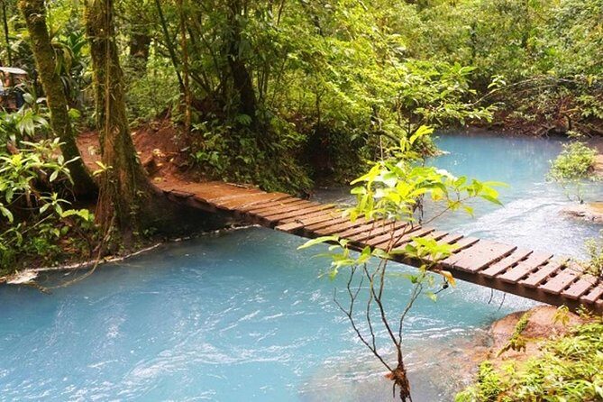 Rio Celeste Hiking, Sloth Sanctuary & Llanos de Cortes Waterfall Tour - Authentic Experiences That Stick