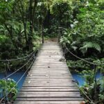 Rio Celeste Nature Hike - The Experience in Detail