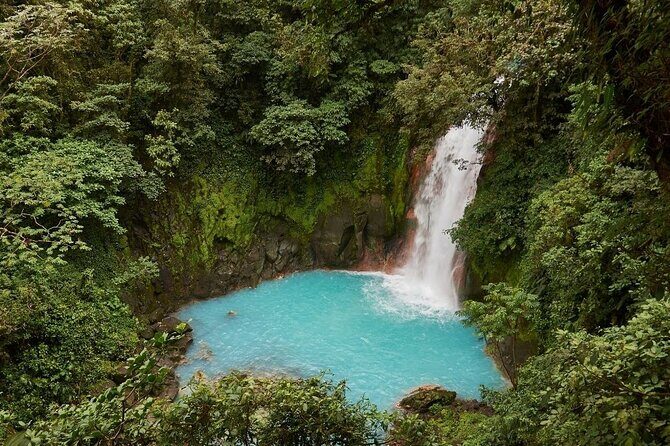 Rio Celeste Nature Hike / from Guanacaste - A Deep Dive into the Rio Celeste Experience