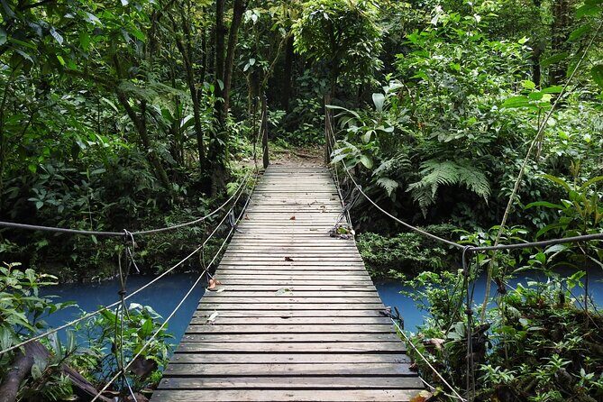 Rio Celeste Nature Hike - The Experience in Detail