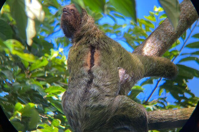 Rio Celeste Rain Forest Tour - Who Should Consider This Tour?