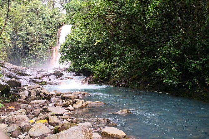 Rio Celeste river waterfall, hike and hot springs tour from San Jose, Costa Rica - Whats Included and What to Consider
