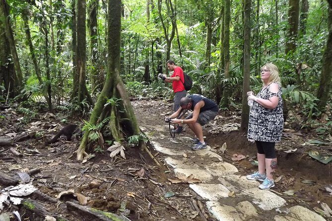 Rio Celeste Waterfall & Sloth Encounter Tour - Why This Tour Provides Great Value