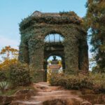 Rio de Janeiro: 4-Hour Botanical Garden & Tijuca Forest Tour - The Experience in Detail