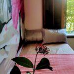 Rio De Janeiro: 5-Day Tour & Cultural Experience, All Included. - Why We Believe This Tour Offers Excellent Value