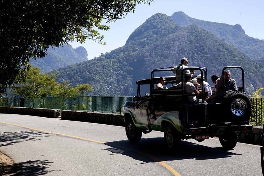 Rio de Janeiro: Botanical Garden & Tijuca Forest Guided Tour - Who Should Consider This Tour?