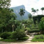 Rio de Janeiro Botanical Garden Tour - The Sum Up: Is This Tour for You?