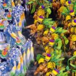 Rio de Janeiro Costume Experience in the Carnival Parade & Transfer - Who Will Love This Tour?