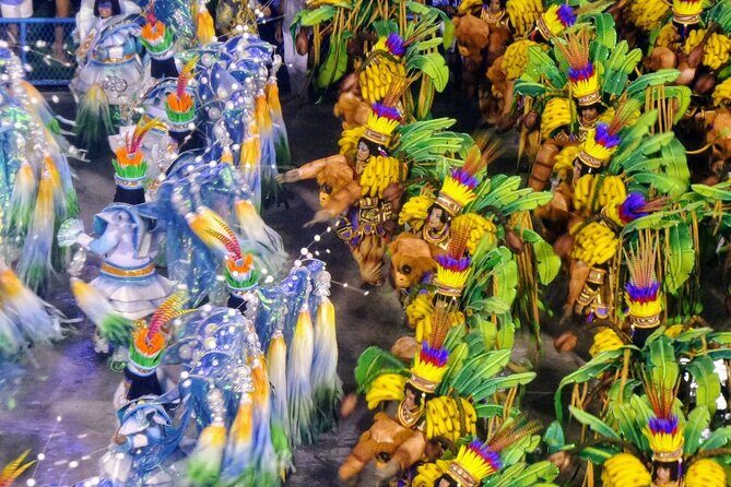 Rio de Janeiro Costume Experience in the Carnival Parade & Transfer - Who Will Love This Tour?