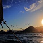 Rio de Janeiro: Guanabara Bay Sunset Sailing Tour & Drinks - Who Will Love This Tour?