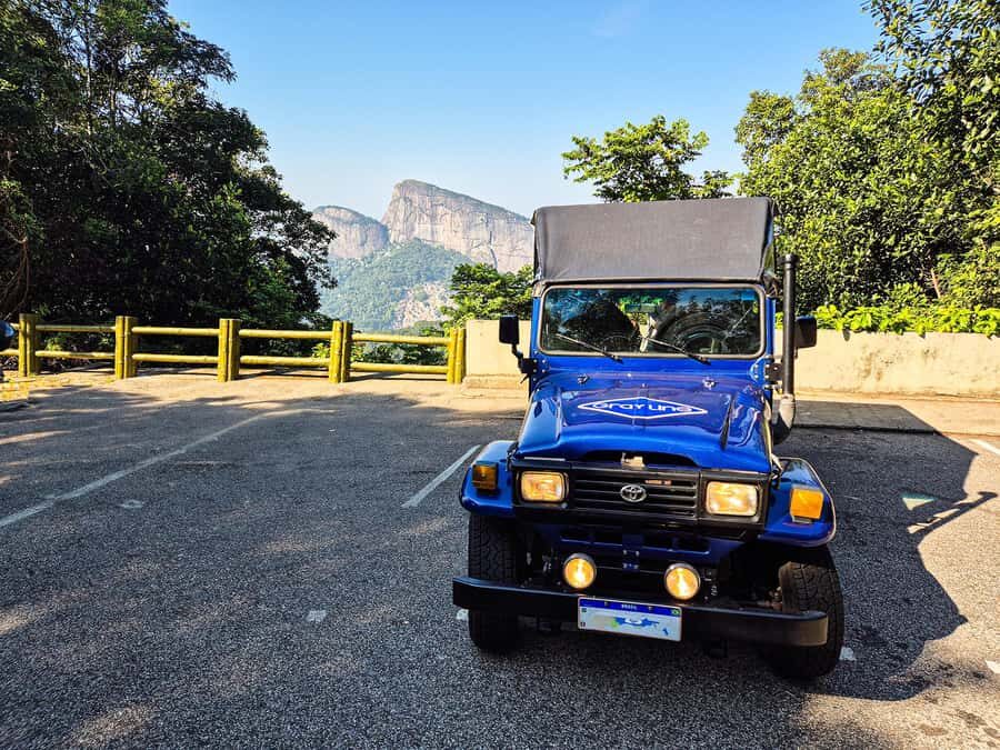 Rio de Janeiro: Guided Jeep Tour through Tijuca Rainforest - A Closer Look at the Tijuca Rainforest Guided Jeep Tour