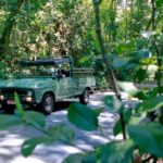 Rio de Janeiro: Jeep Tour in the Tijuca Forest - Exploring Rio’s Tijuca Forest by Jeep