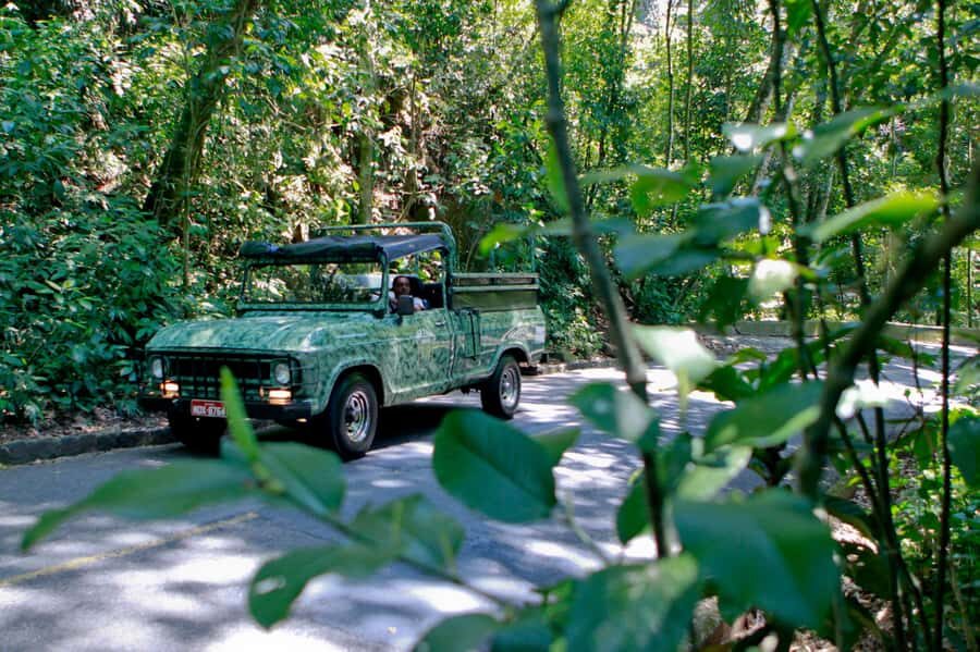 Rio de Janeiro: Jeep Tour in the Tijuca Forest - Exploring Rio’s Tijuca Forest by Jeep