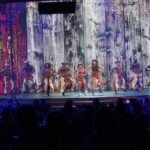 Rio de Janeiro: Roxy Dinner Show With Transfer - Who Should Consider This Tour?