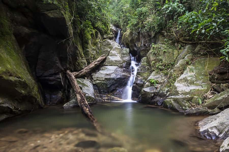 Rio de Janeiro: Tijuca National Park & Botanic Garden Tour - Analyzing the Value