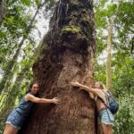 Rio de Janeiro: Tijuca National Park Tour - Who Should Book This Tour?