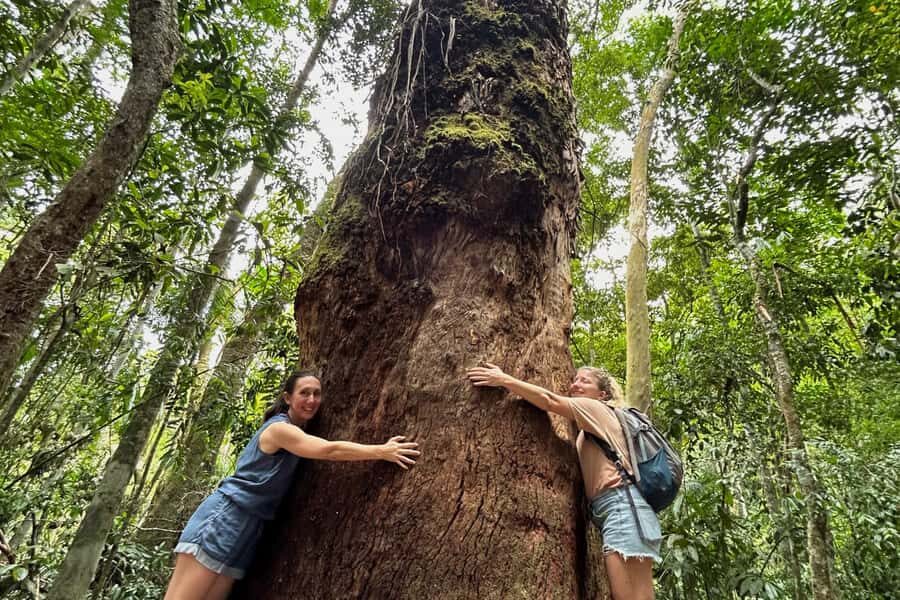 Rio de Janeiro: Tijuca National Park Tour - Who Should Book This Tour?